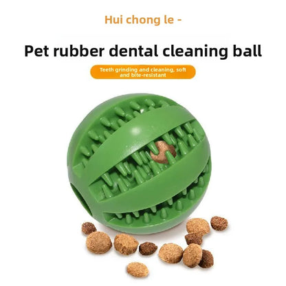 Pet Chew Toy with Food Dispenser