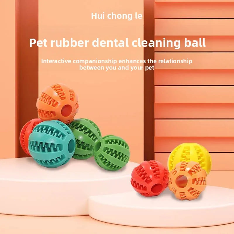 Pet Chew Toy with Food Dispenser
